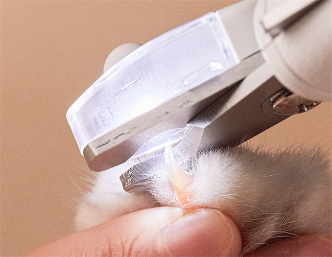 Nail clippers for dogs and cats